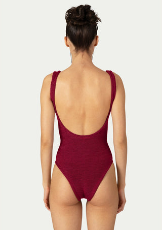  PARAMIDONNA Mika Burgundy One-piece Swimsuit